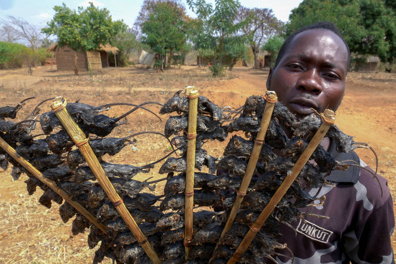 Malawi Soldier Holding Fried Rats Background