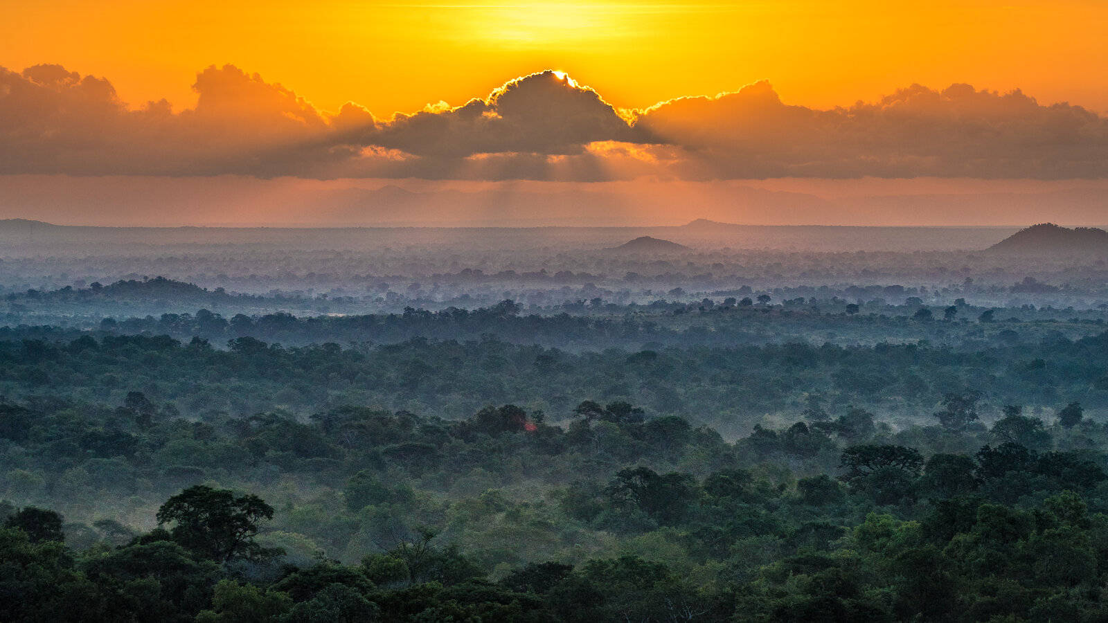 Malawi Sunset Sky Forest Background