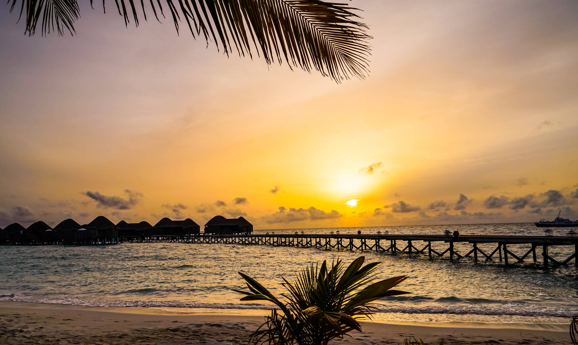 Maldives Beach Sunset Silhouette Background