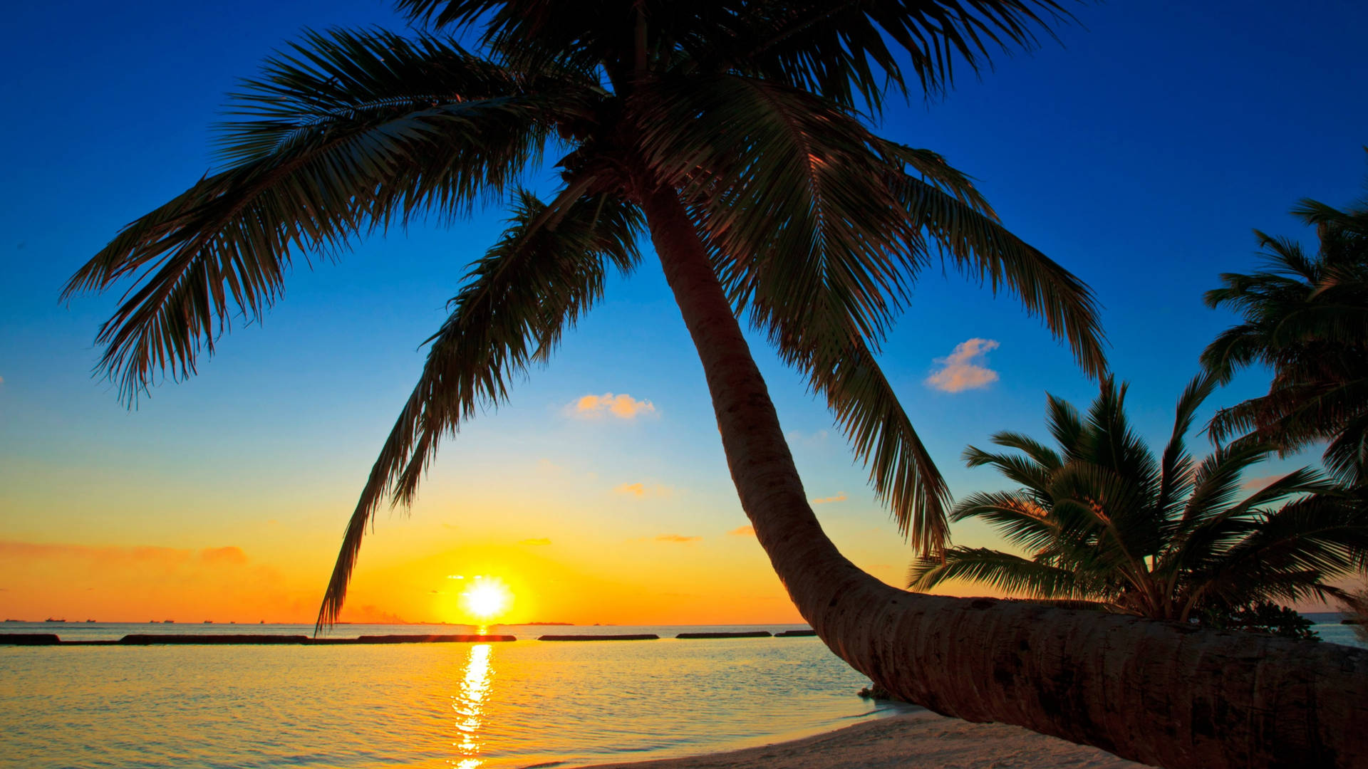 Maldives Golden Sunset Background