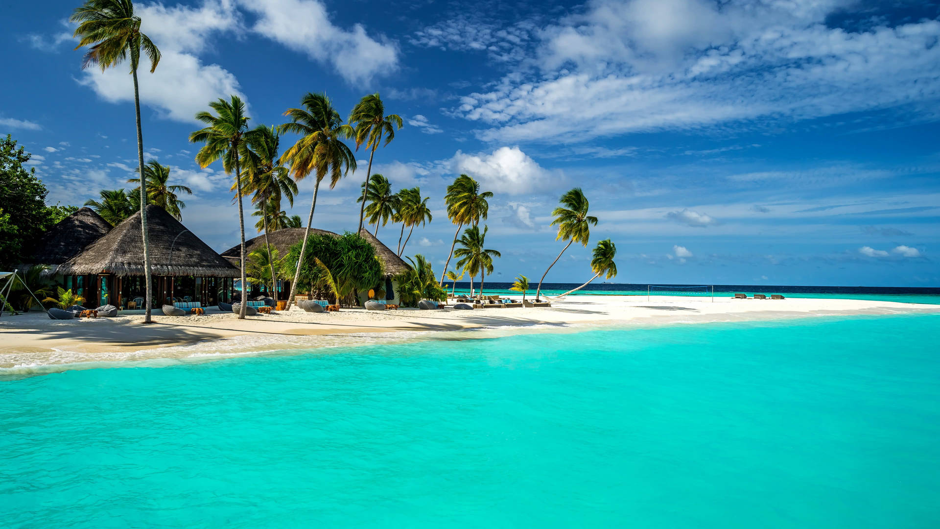 Maldives Tropical White Beach Background
