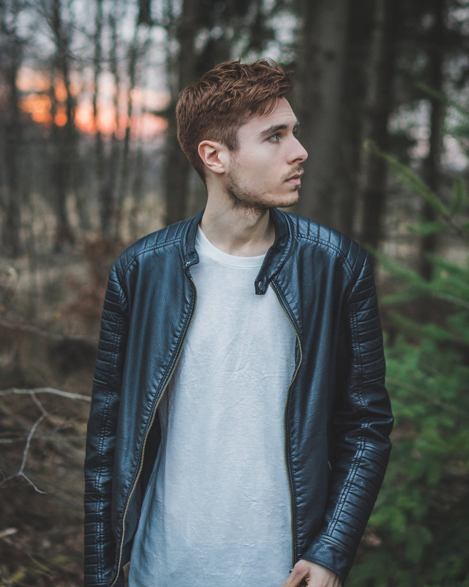 Male Model In Forest Background