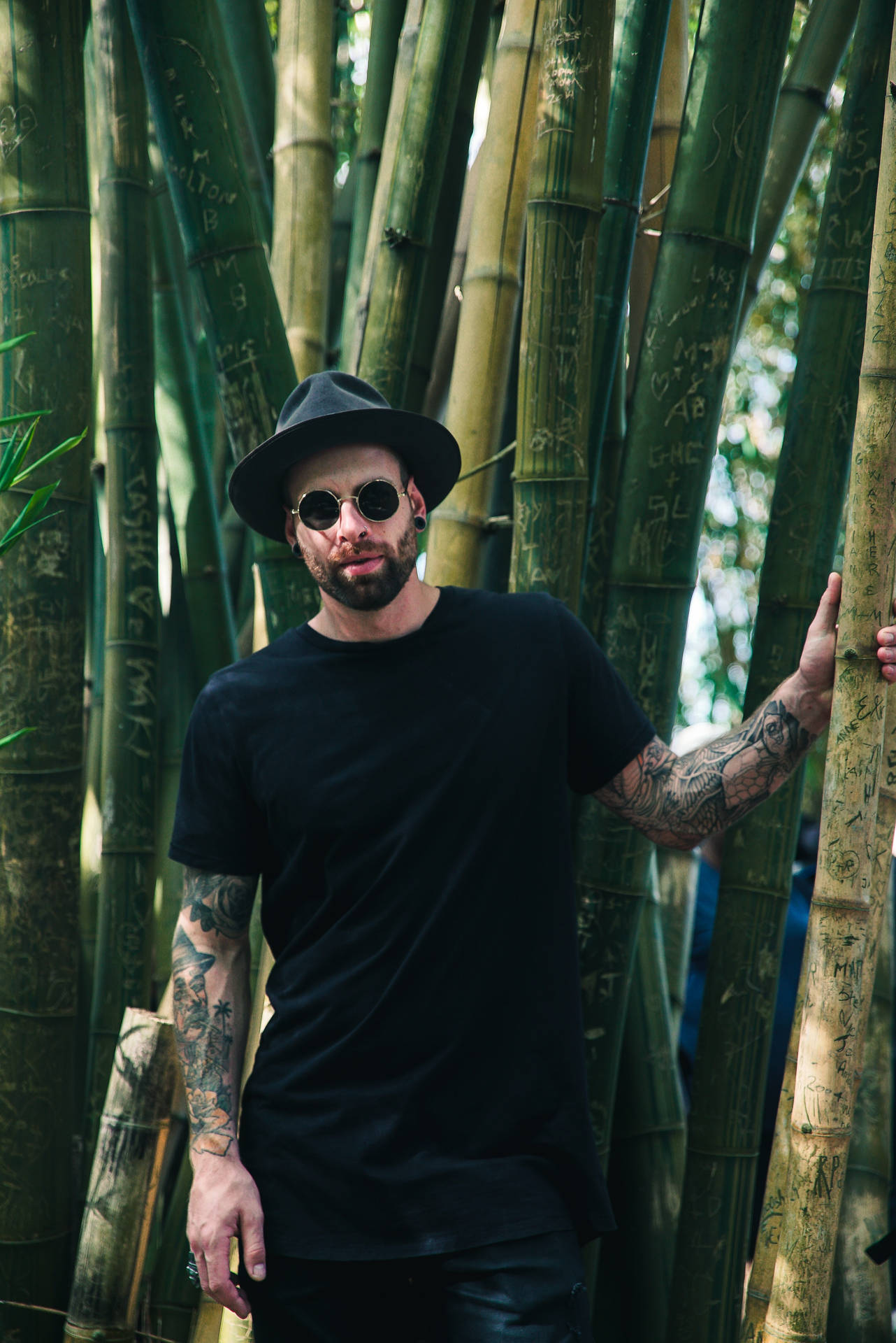 Male Pose In The Bamboo Forest Background