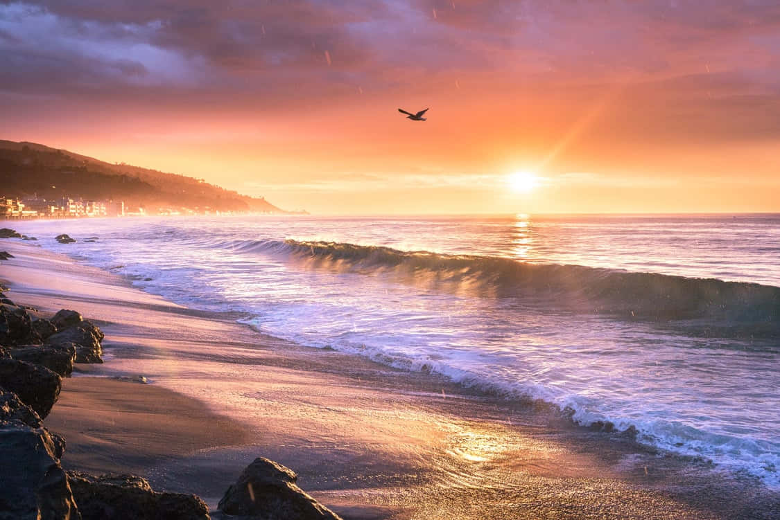 Malibu Beach Sunrise Desktop Purple Ocean Background