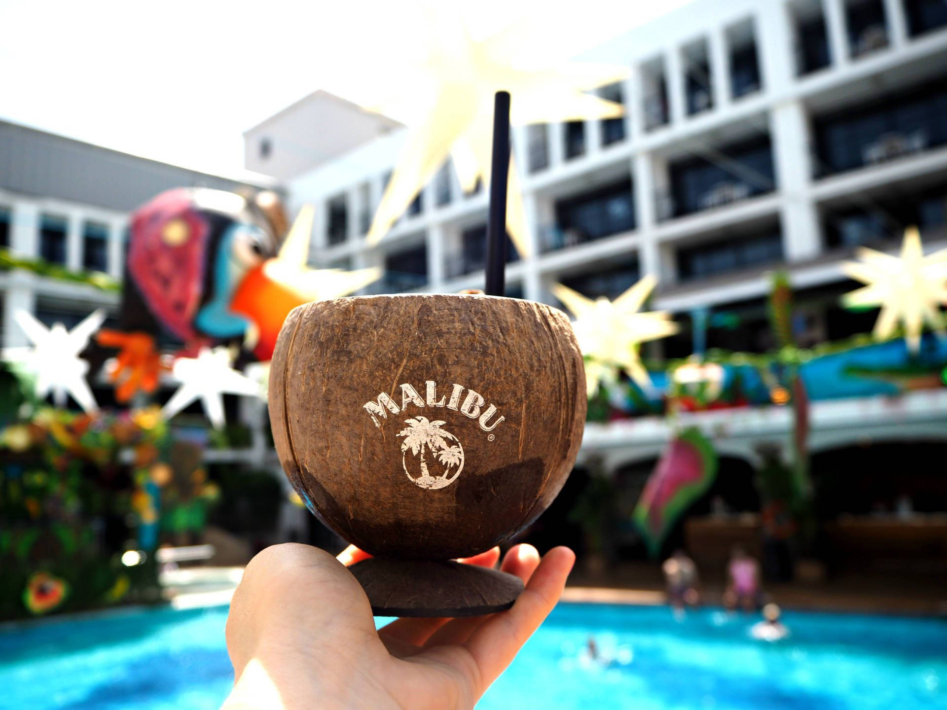 Malibu Coconut Cup