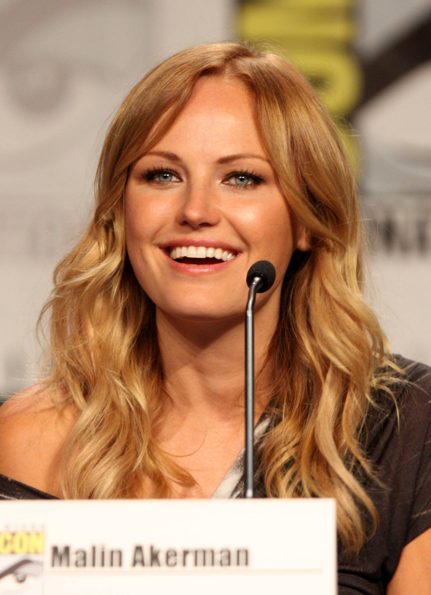 Malin Akerman At Press Event