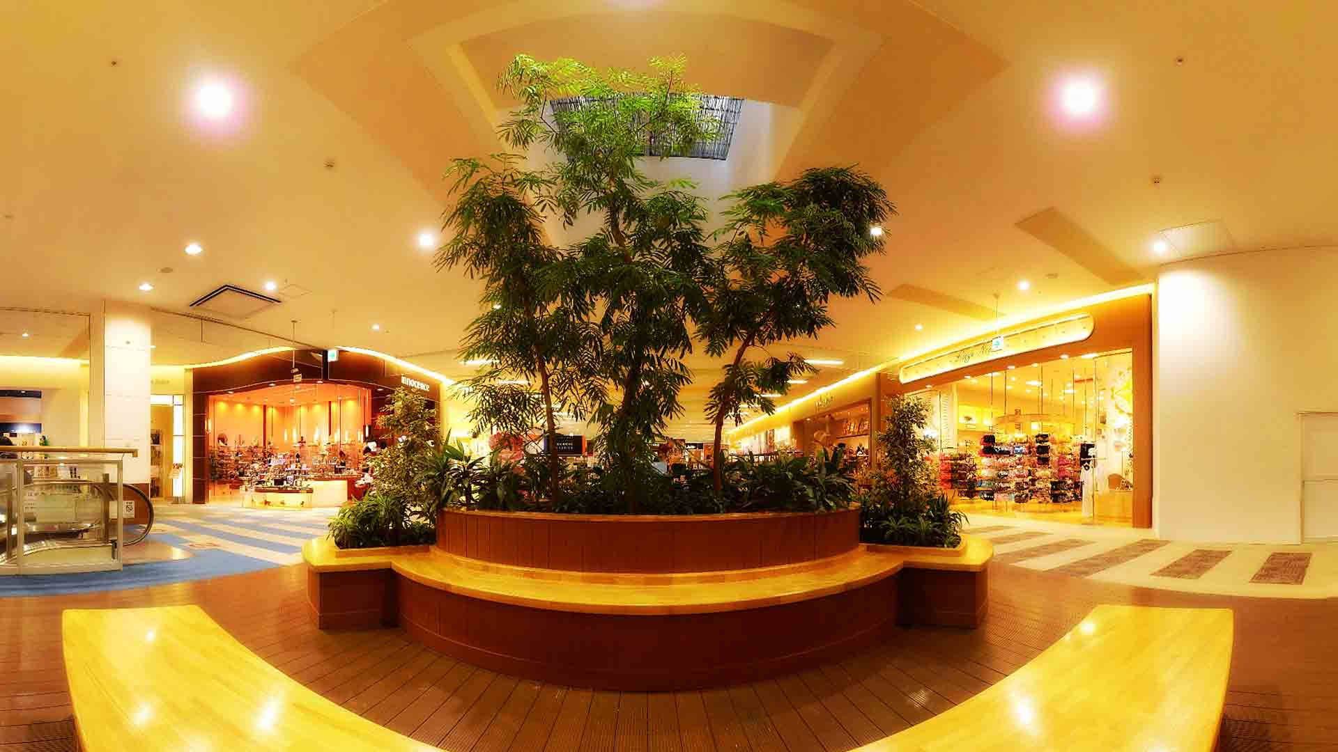 Mall With A Huge Plant Box Background