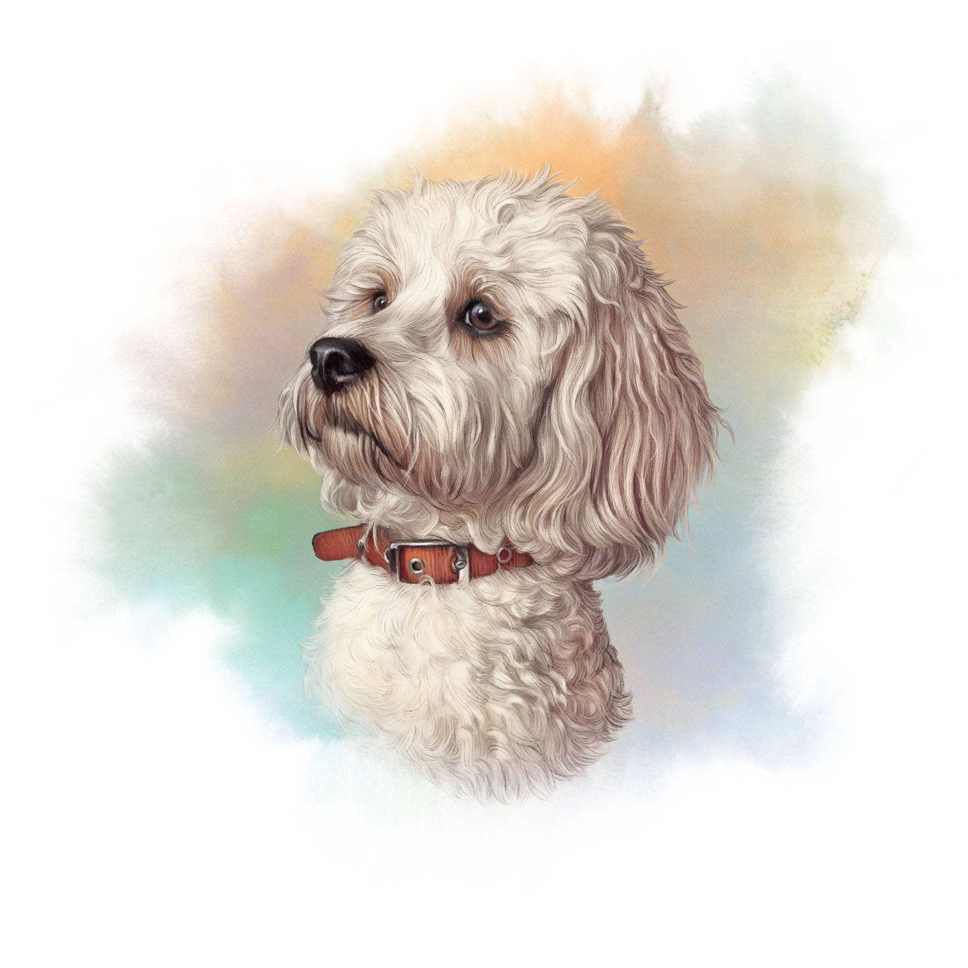 Maltese Dog Art Background