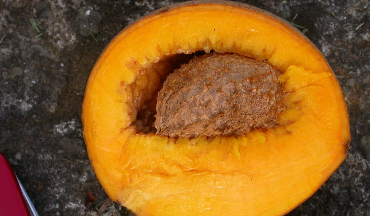 Mammee Fruit Halved Background