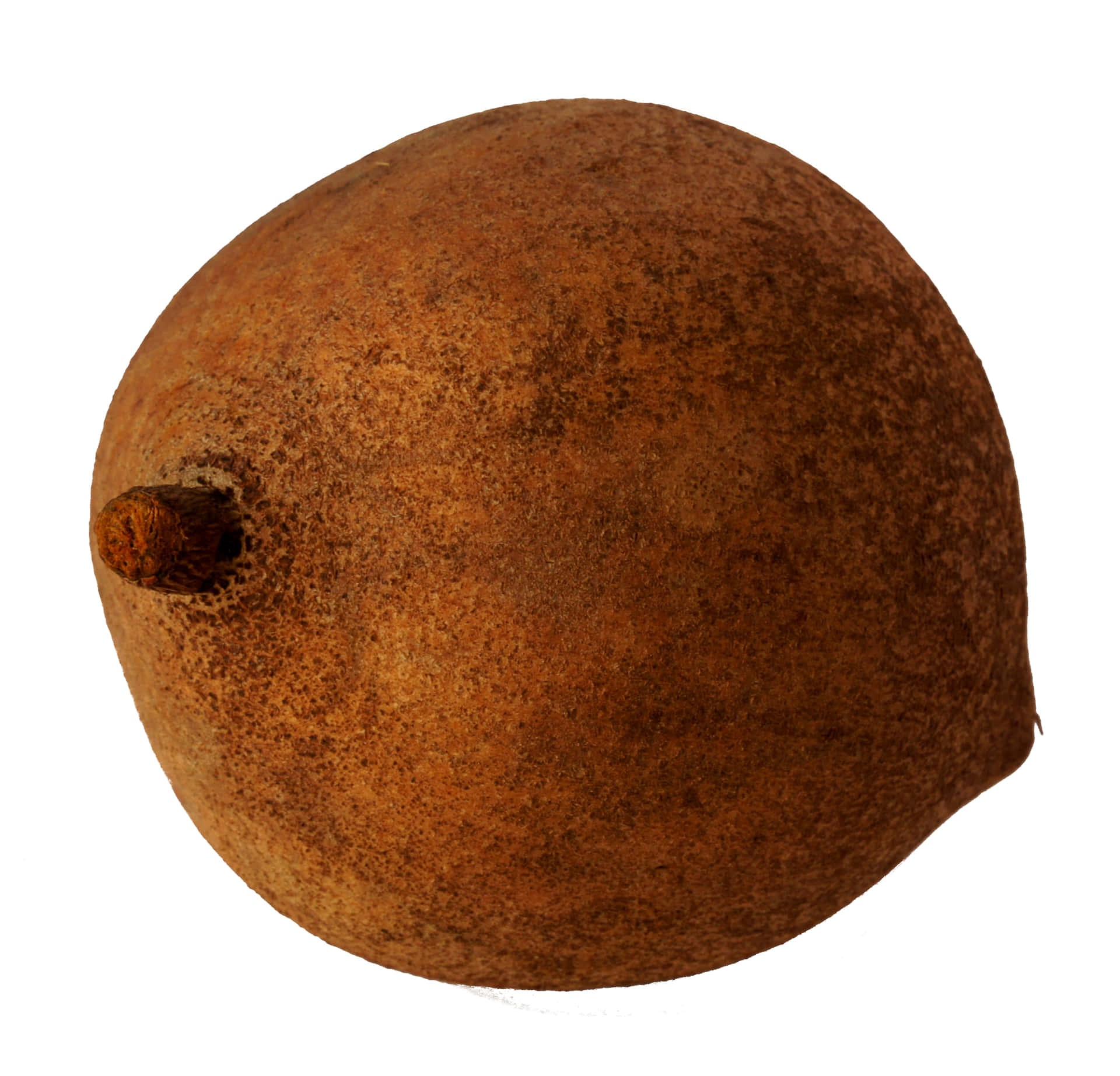 Mammee Fruit Isolated Background Background