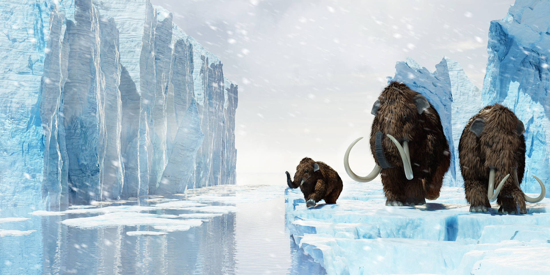 Mammoth Family On Ice