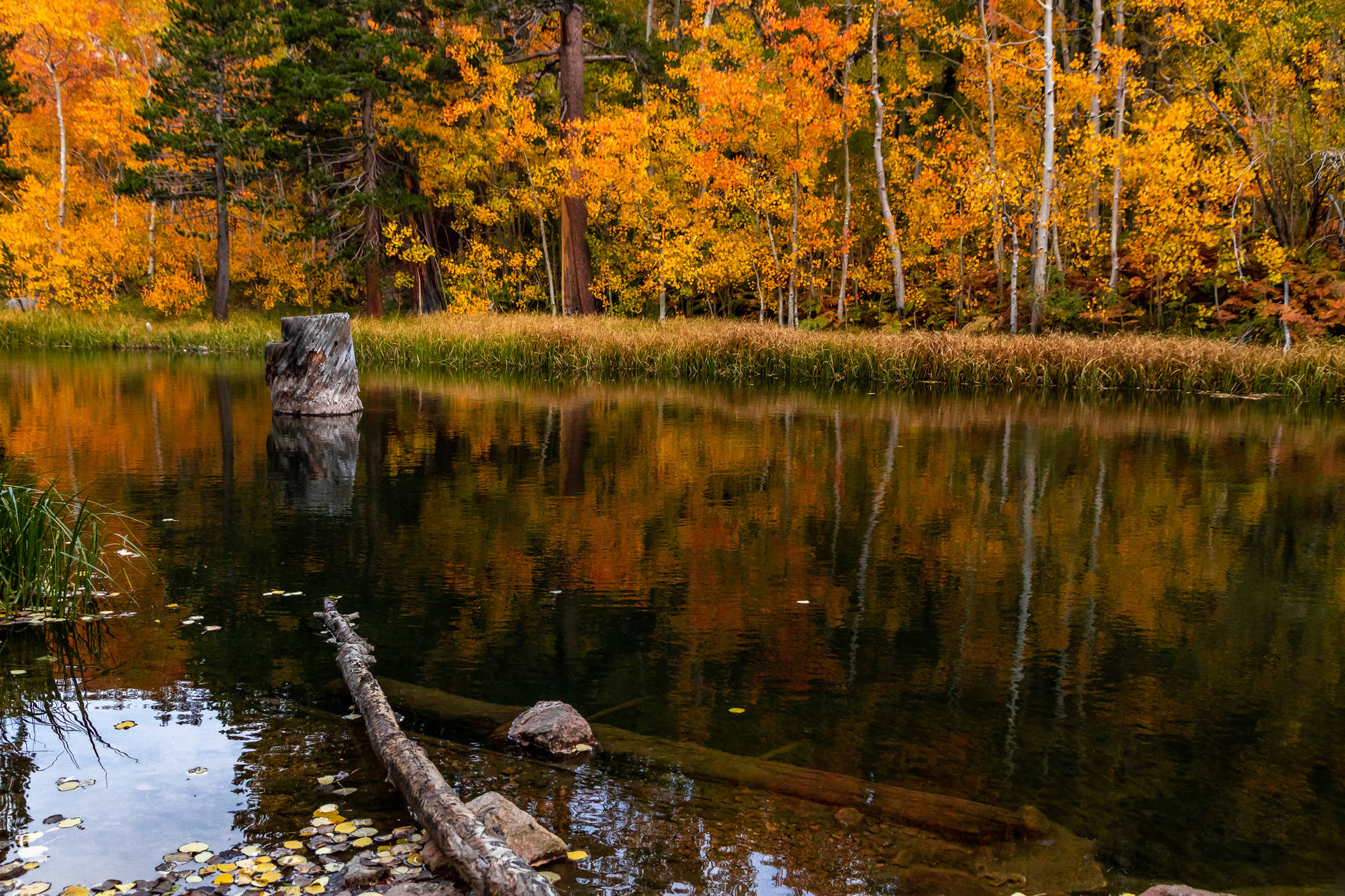 Mammoth Lakes Fall Desktop