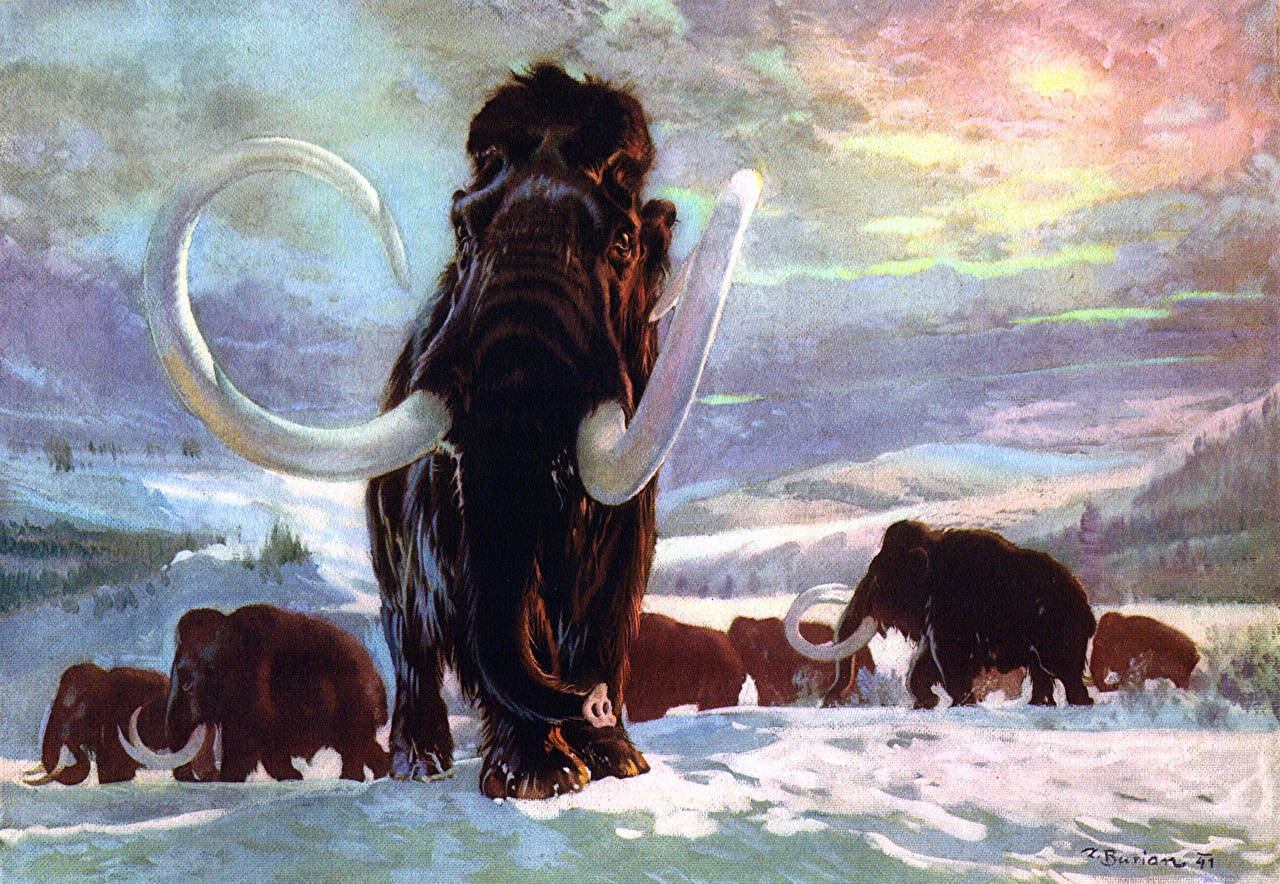 Mammoth Snowy Journey Background