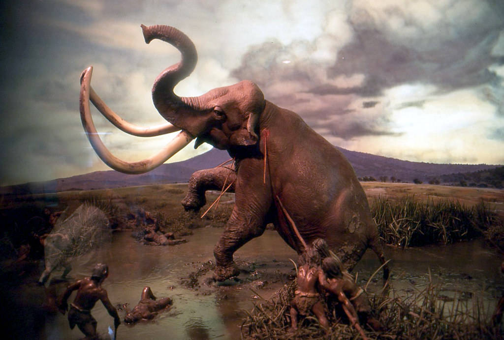 Mammoth Stabbed By Spears Background