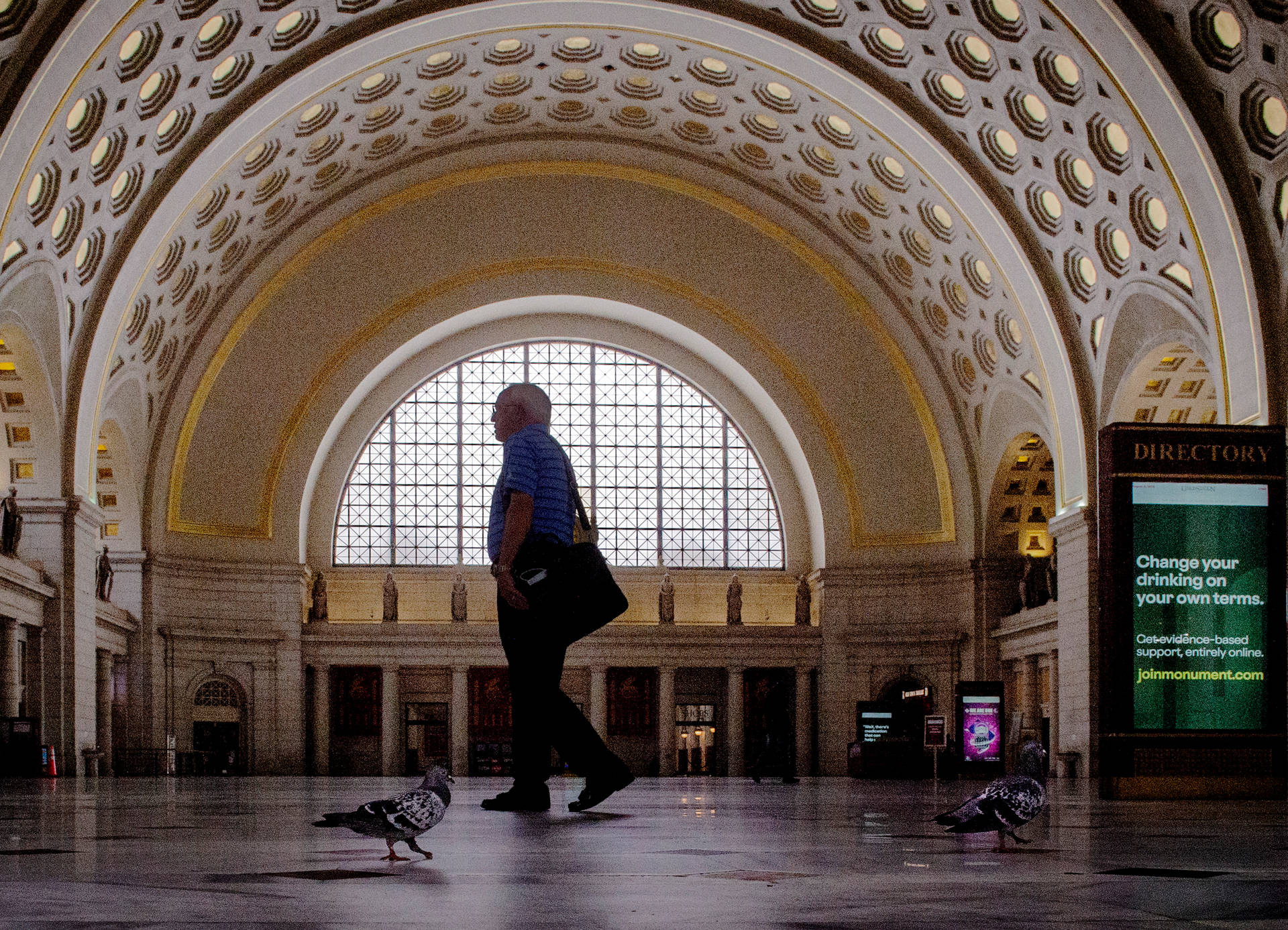 Man And Birds Union Station