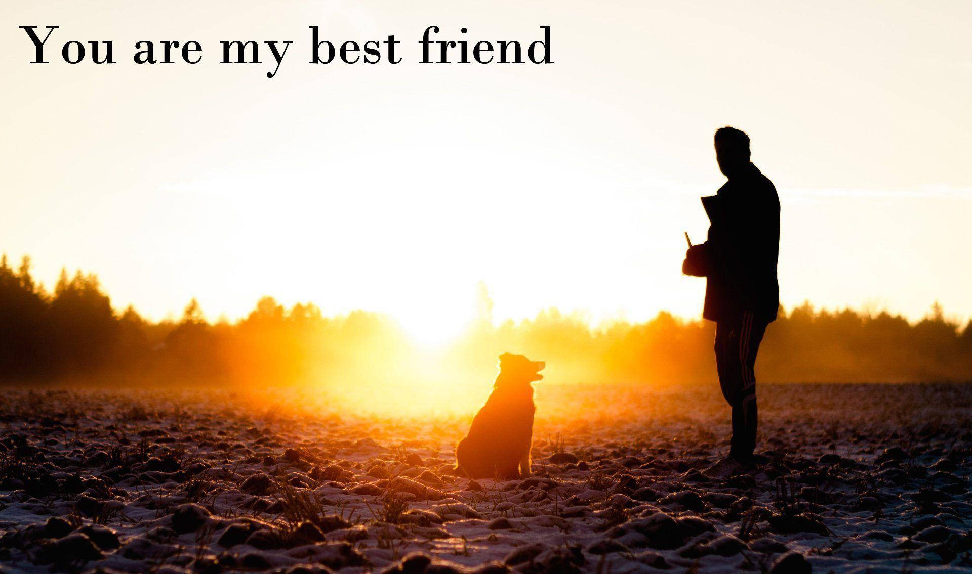 Man And Dog Best Friend Quotes Background