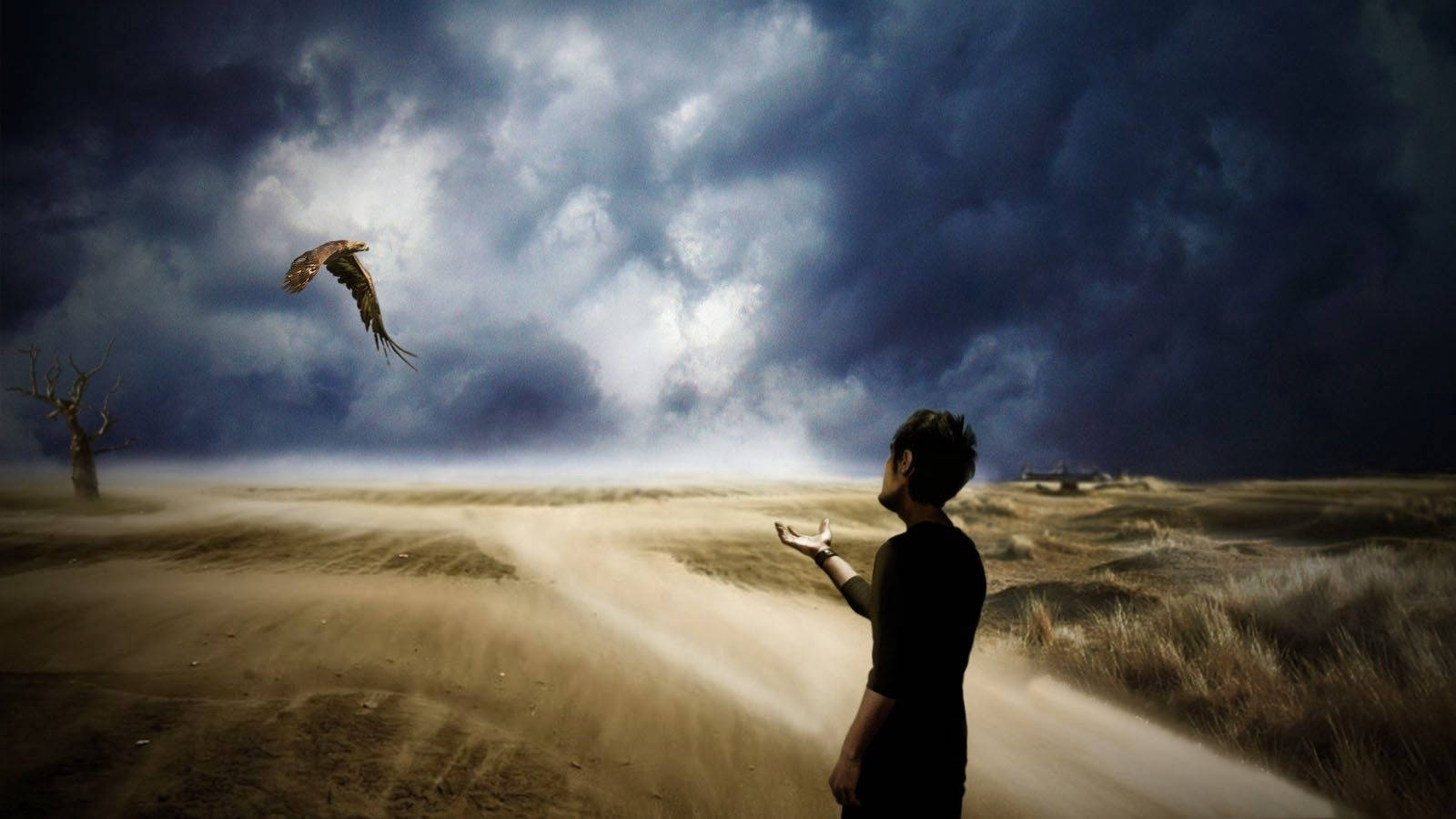 Man And Flying Bird Mystery Digital Art Background