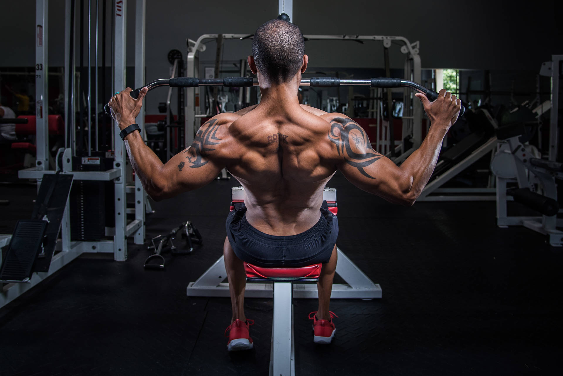 Man Back Muscles Beautiful Body Background