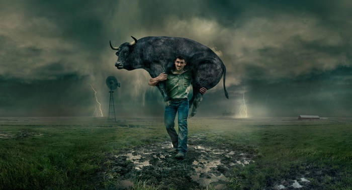Man Carrying Buffalo Background