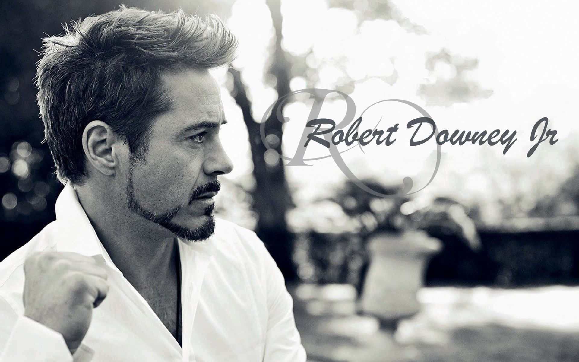 Man Face Actor Robert Downey Jr