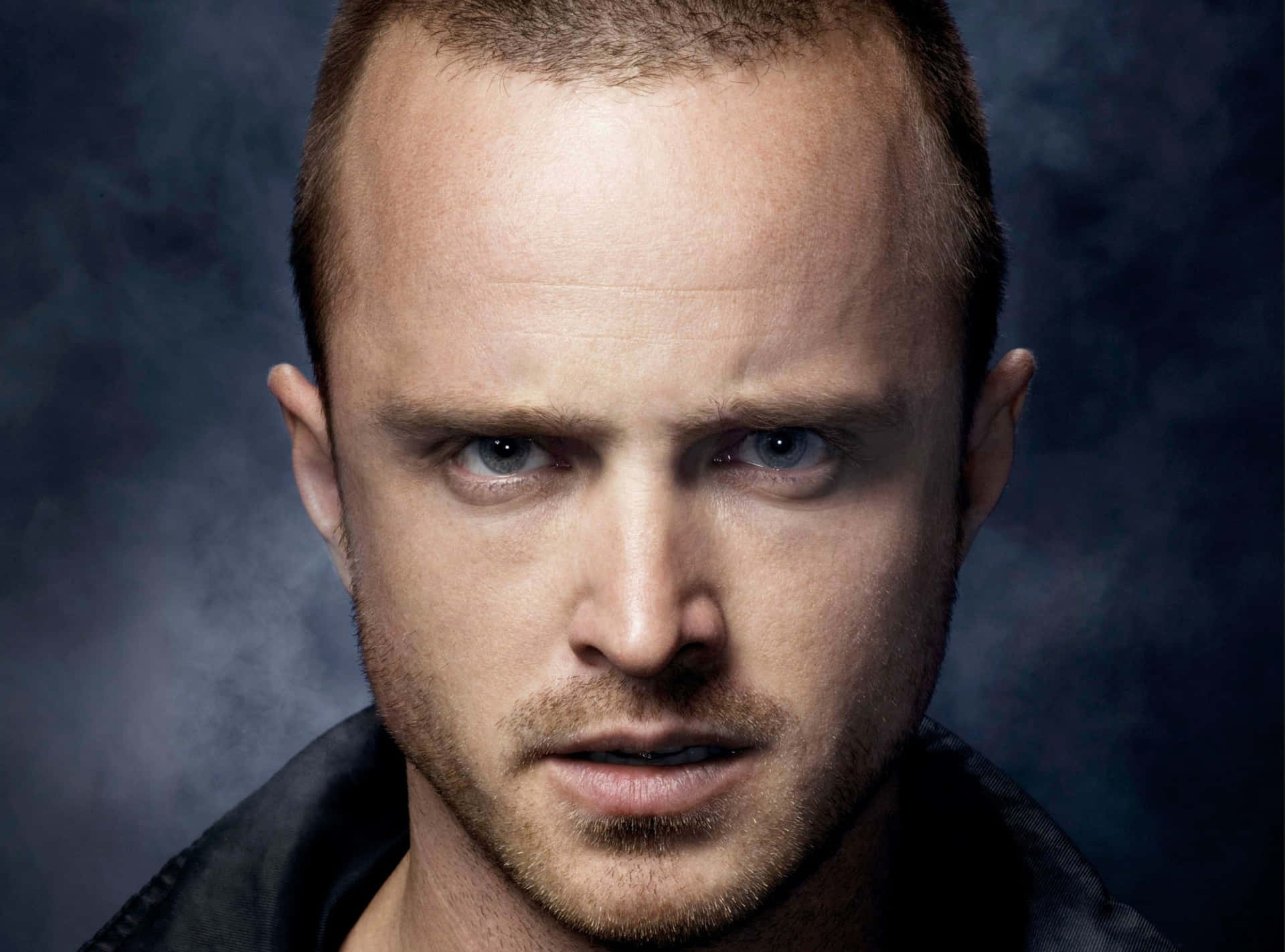 Man Face Movie Actor Aaron Paul