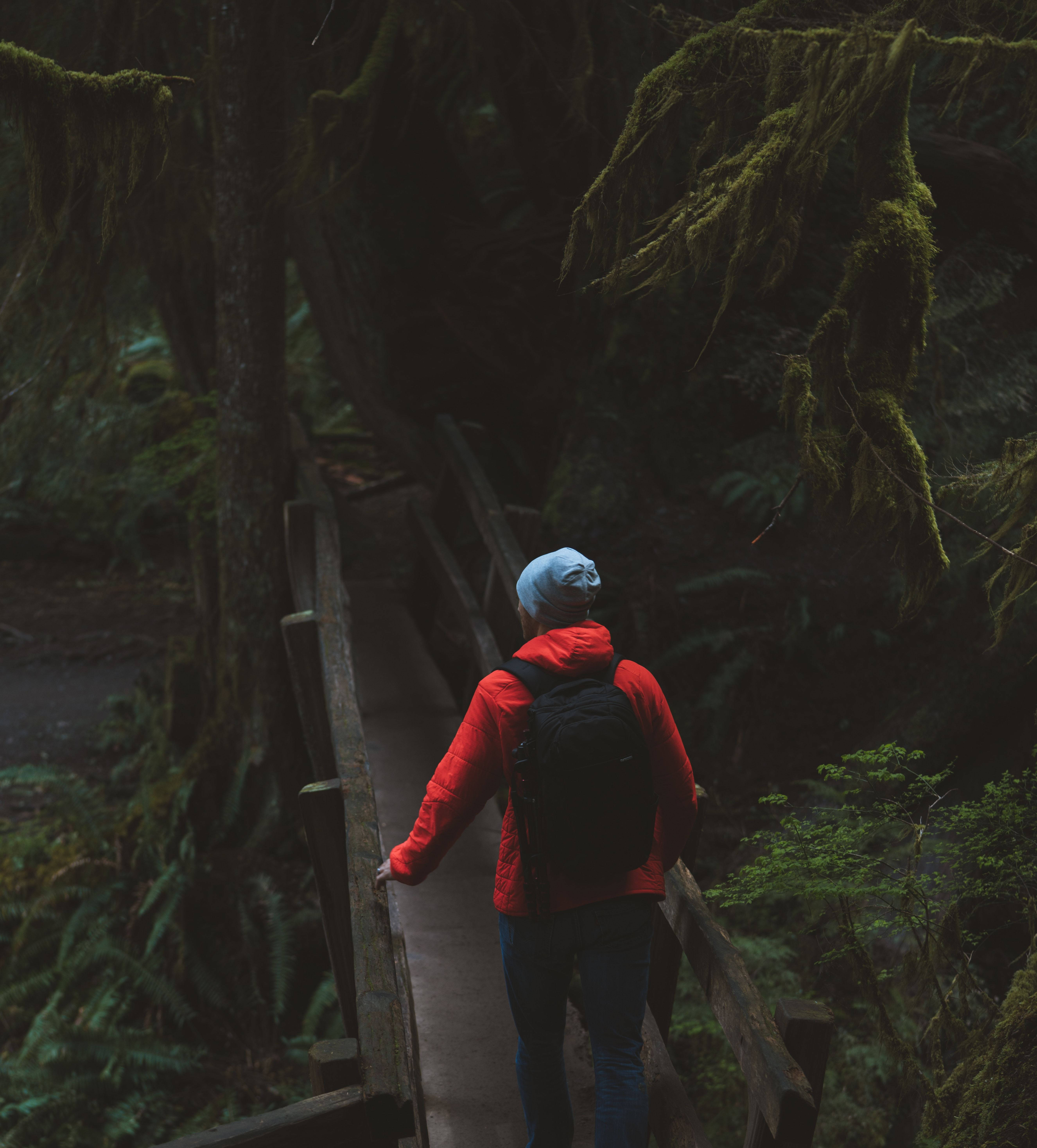 Man In Forest Alone Phone Background Background