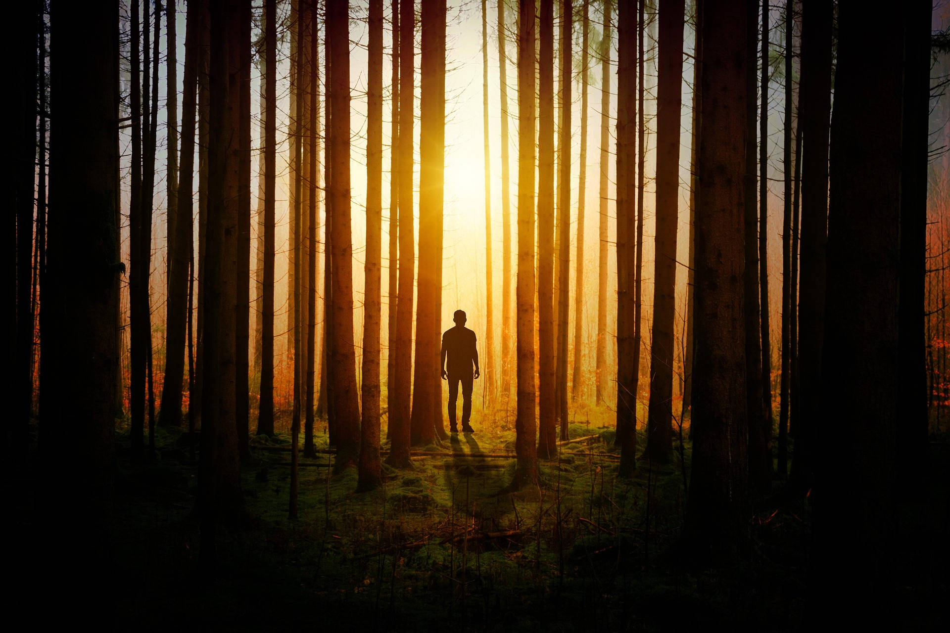 Man In The Woods Background