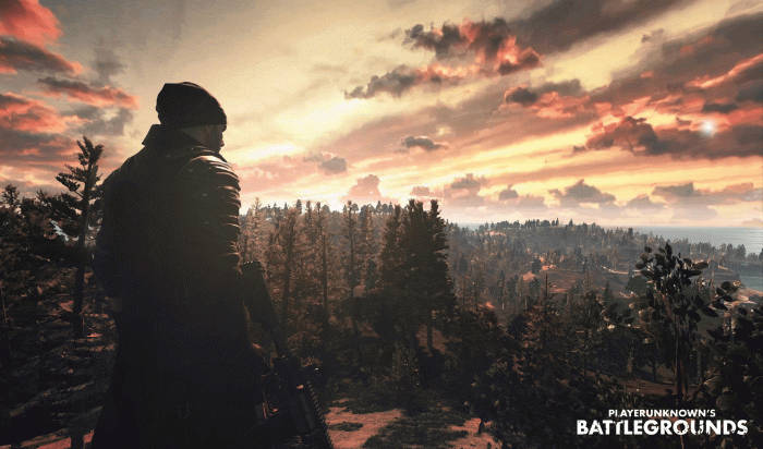 Man Looks Over Forest Pubg Banner Background