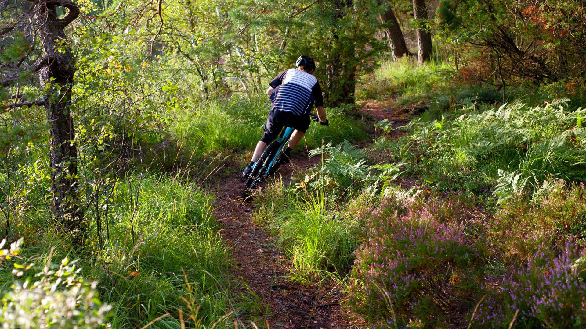 Man Mountain Biking Downhill Trail