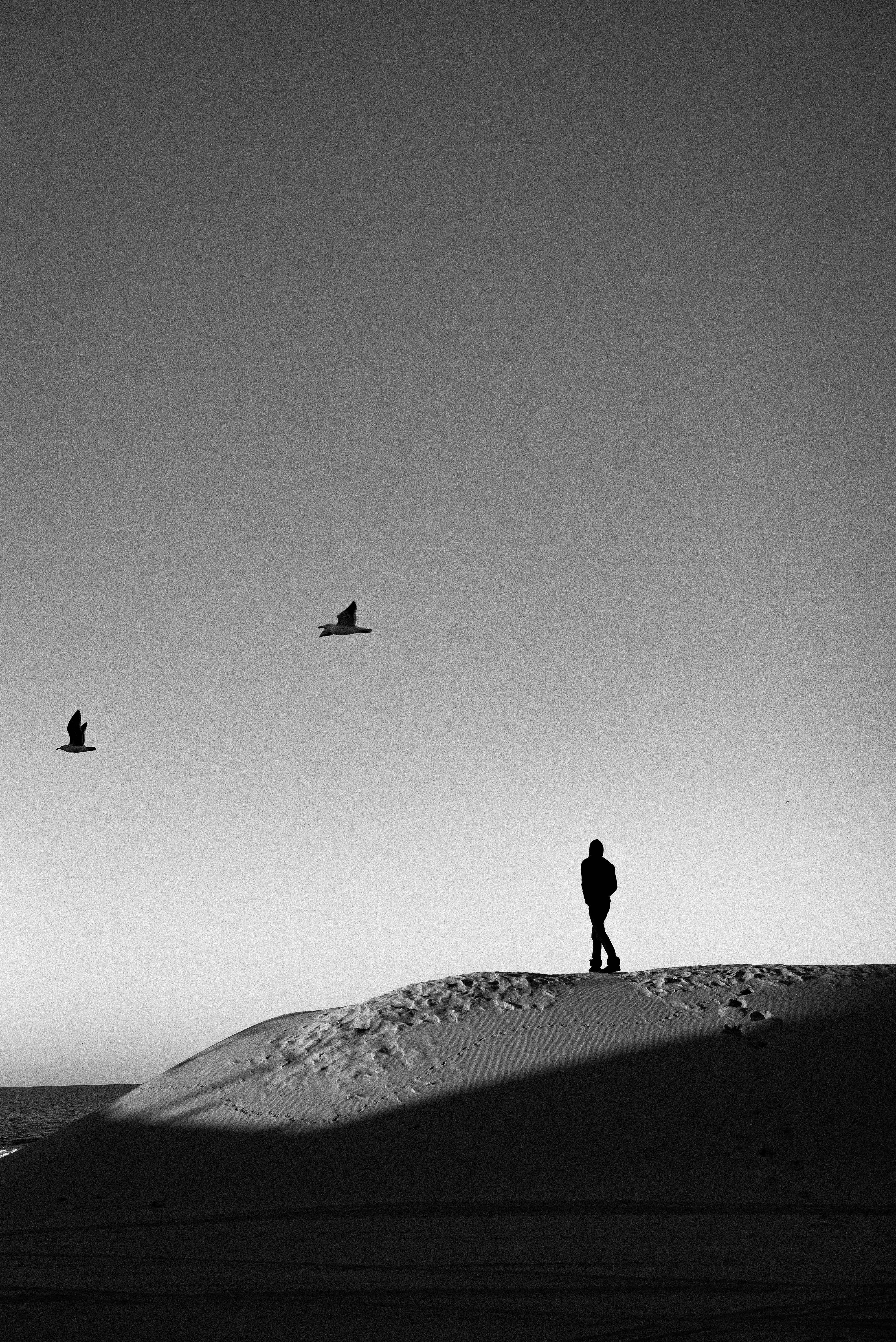 Man On Desert Alone Phone Background