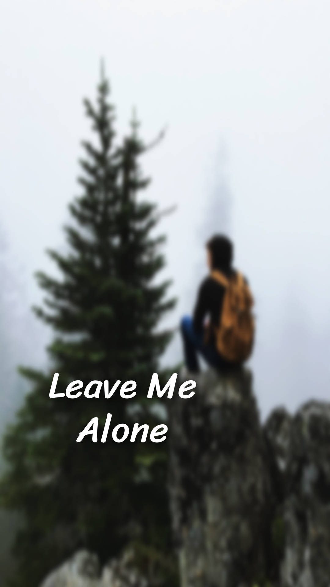 Man On Rock Leave Me Alone Background