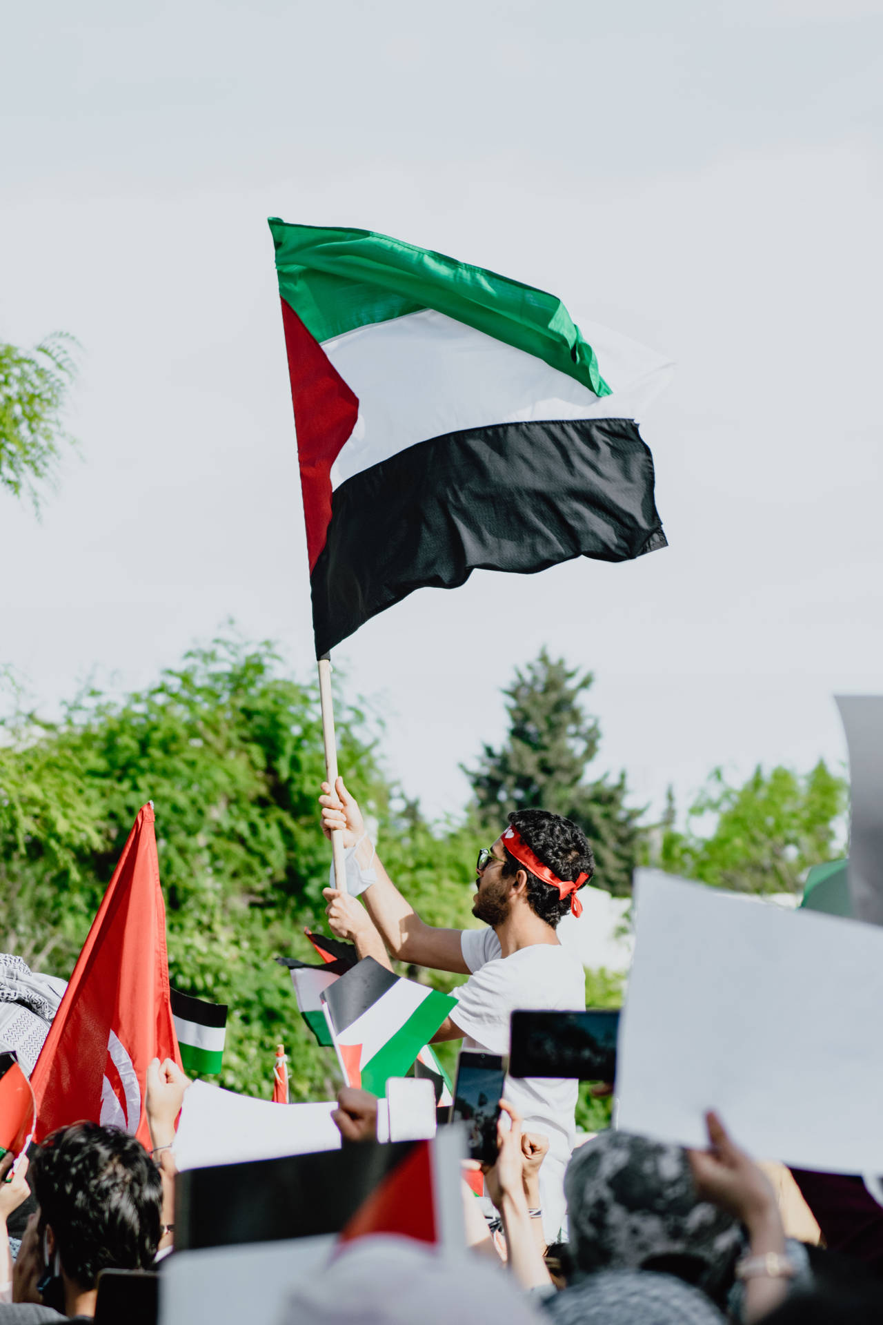 Man Raising Flag Of Tunisia Background