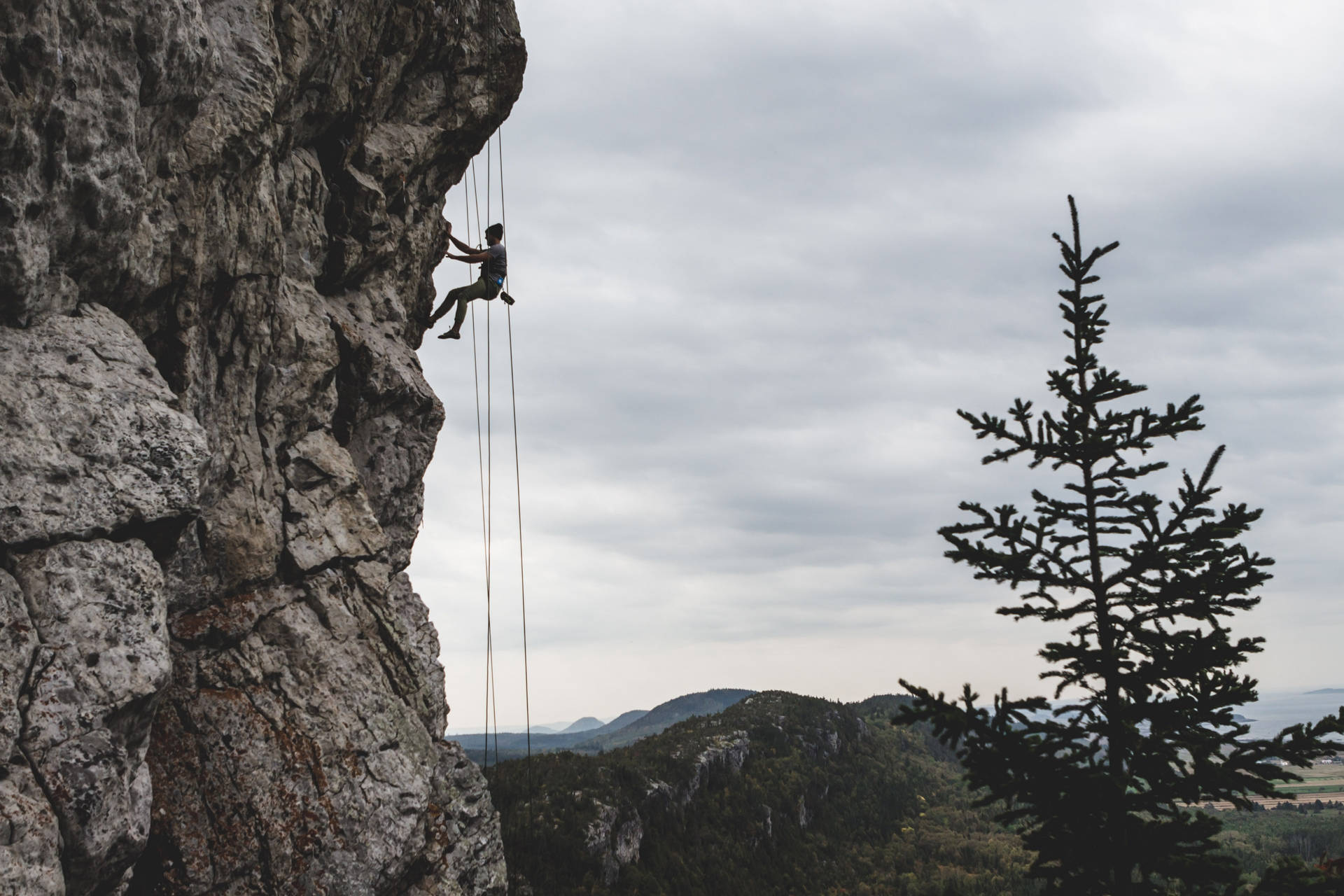 Man Rock Climbing Using Ropes Background