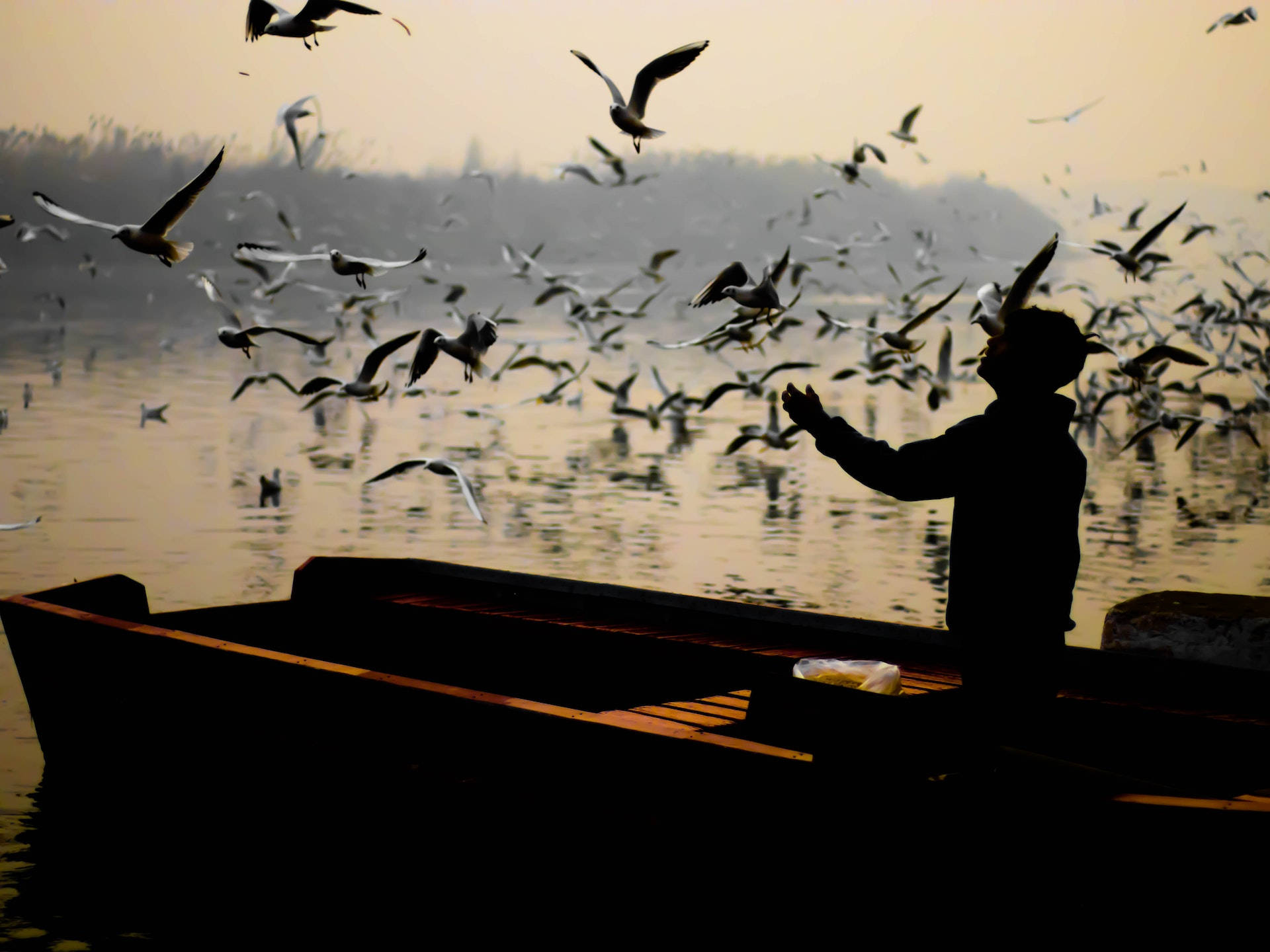 Man Standing On The Boat Under Flying Birds Background