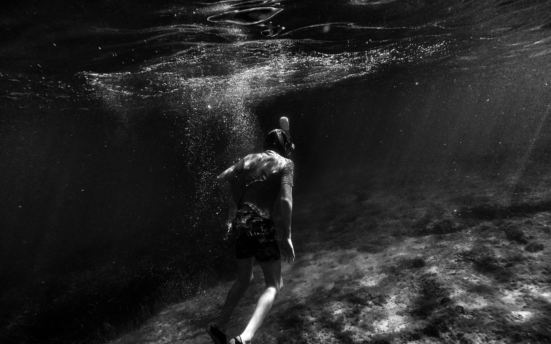 Man Swimming Under The Sea Grayscale Background