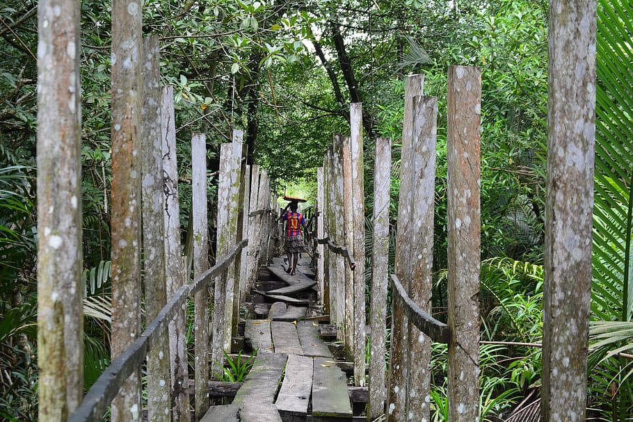 Man Walking Through The Mangroves In Cameroon Background