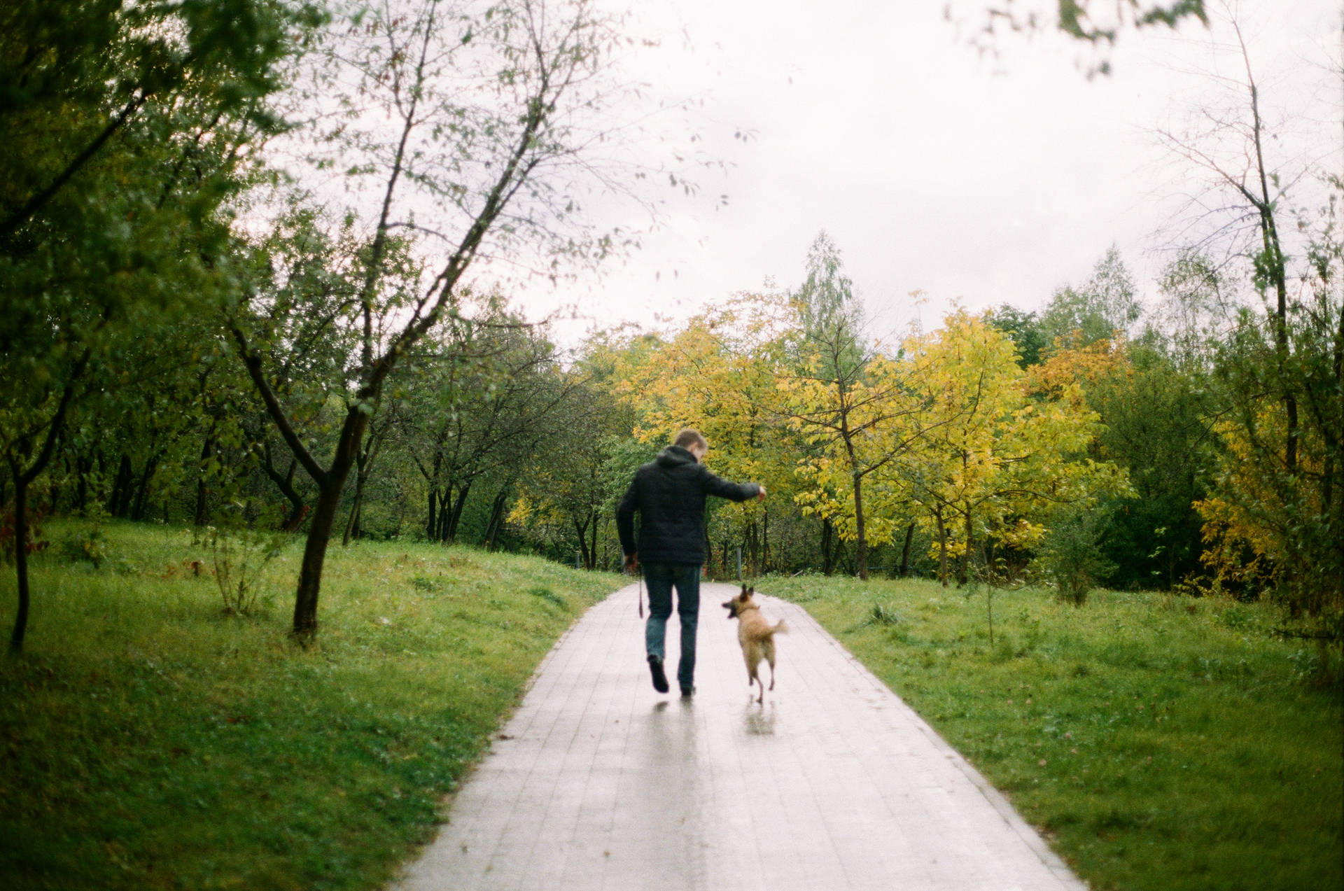 Man With Dog Best Autumn Background