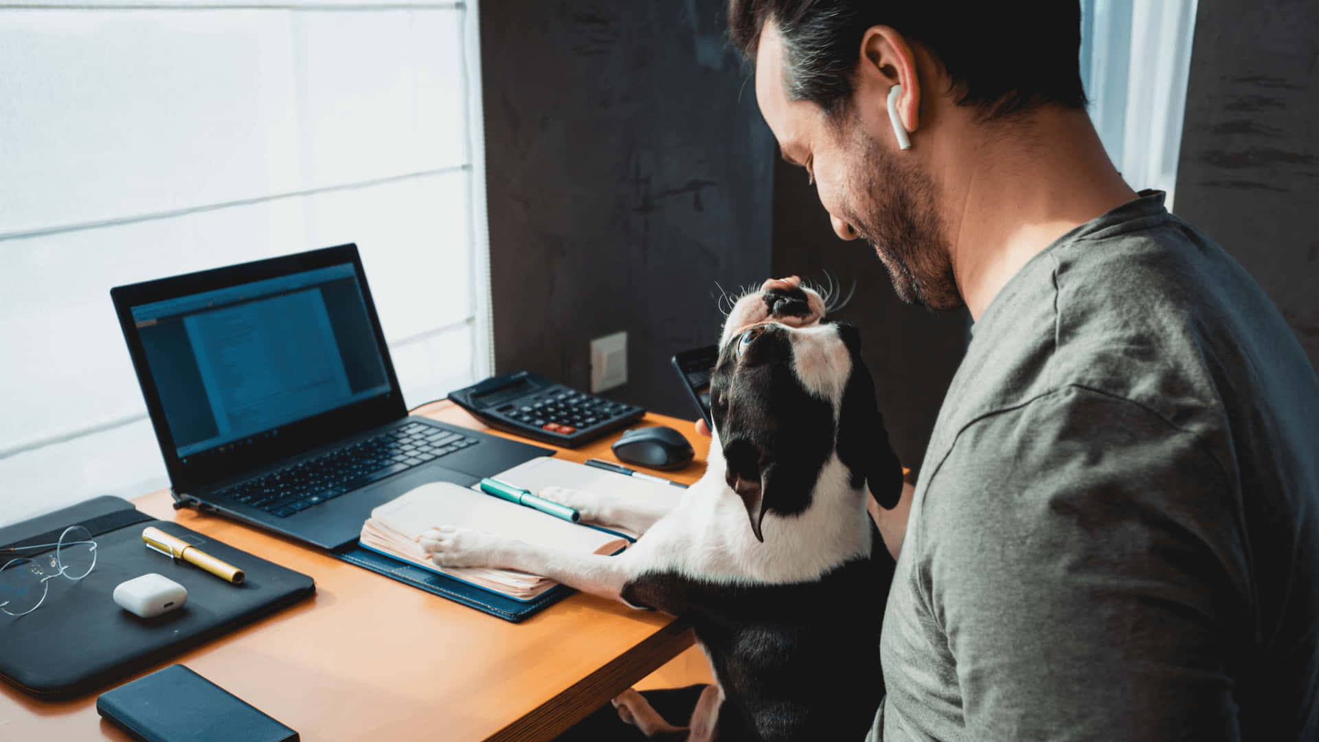 Man Working With Dog Background