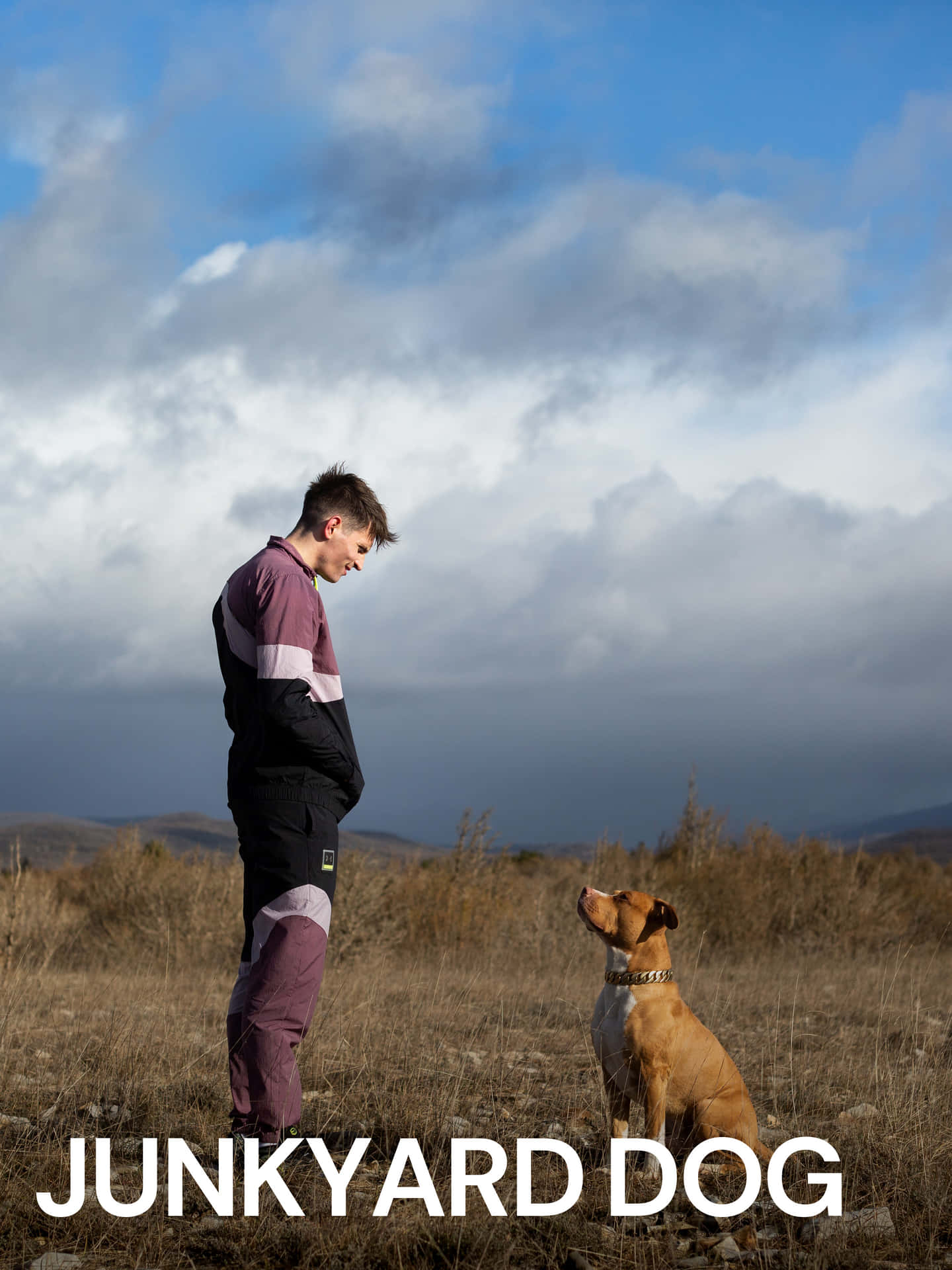 Manand Dog Staring Contest Background