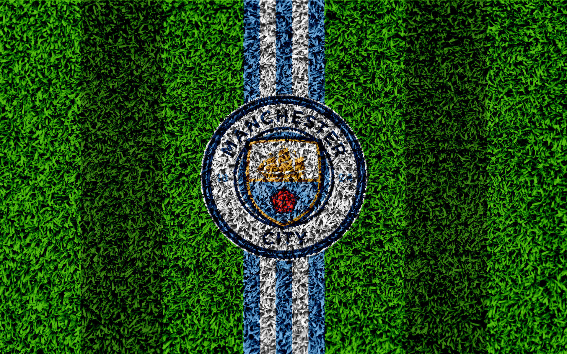 Manchester United Logo In Green Grass Background