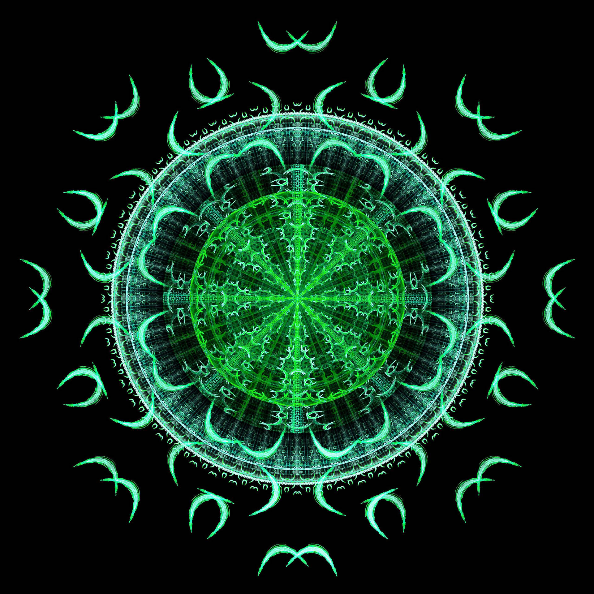 Mandala Fractal On Black Background Background