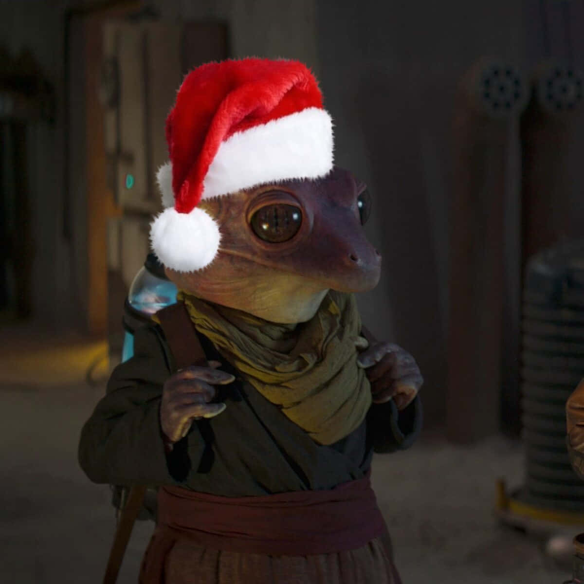 Mandalorian Lizard Funny Discord Pfp Background