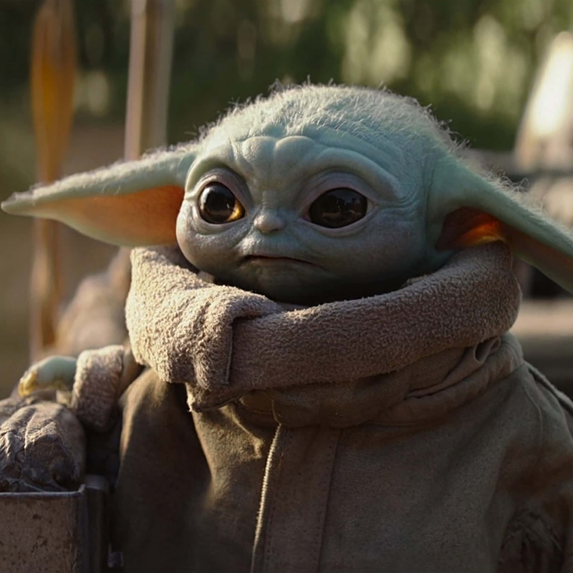 Mandalorian Yoda In A Brown Jacket Background