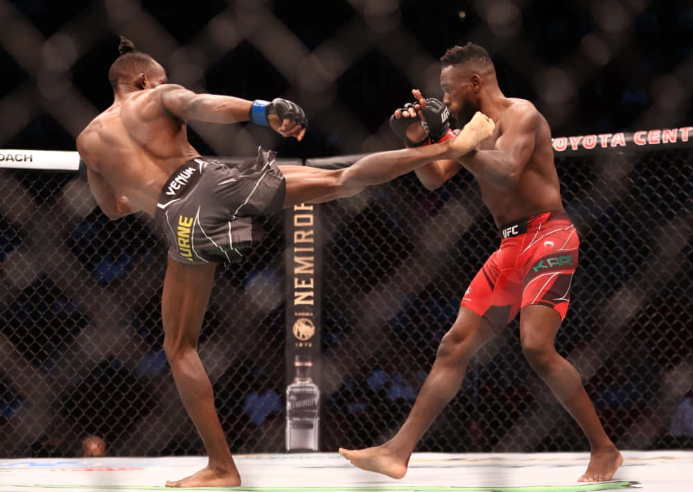 Manel Kape Kicked By Opponent Background