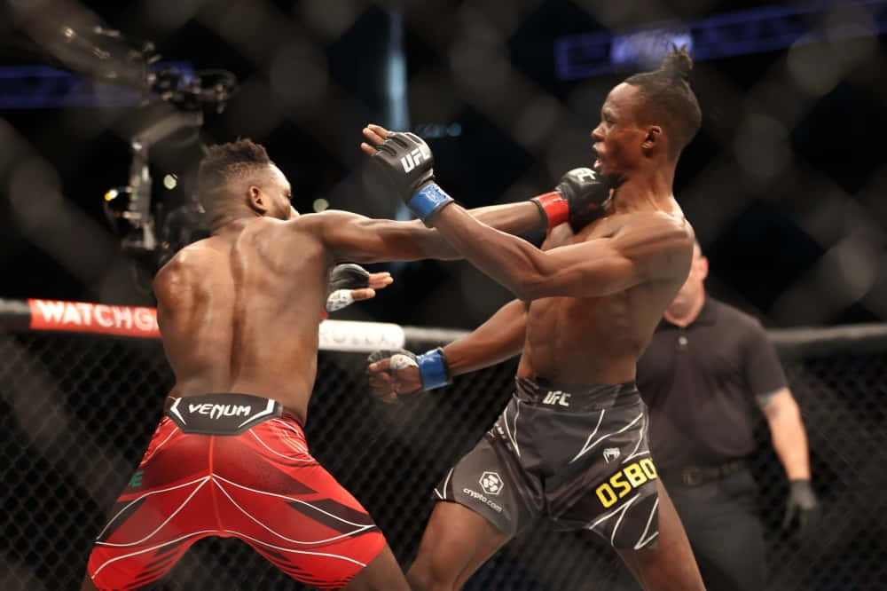 Manel Kape Stopping Opponent Background