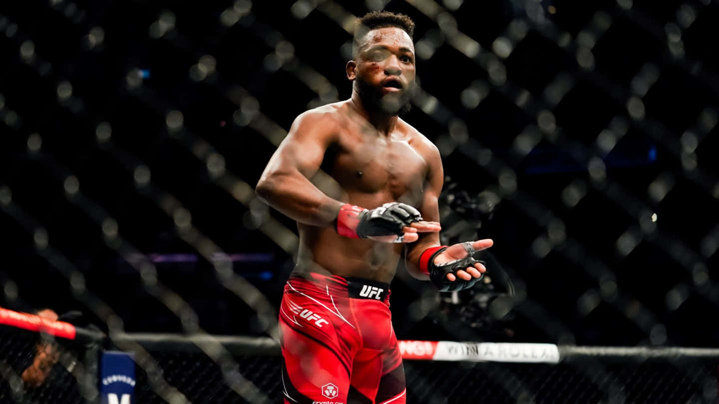 Manel Kape Through The Fence