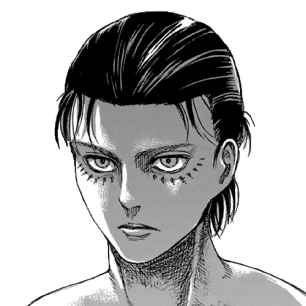 Manga Eren Yeager Pfp