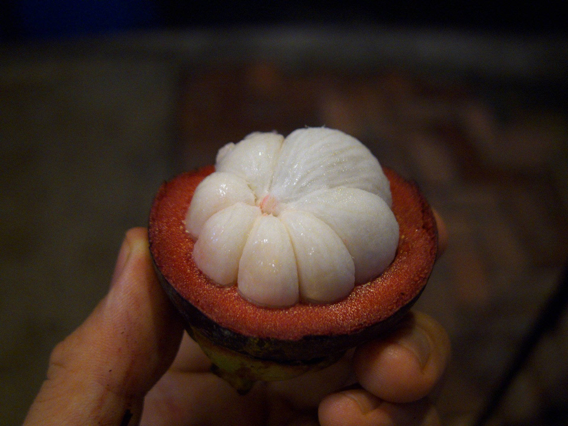 Mangosteen Ripe Fruit Seeds