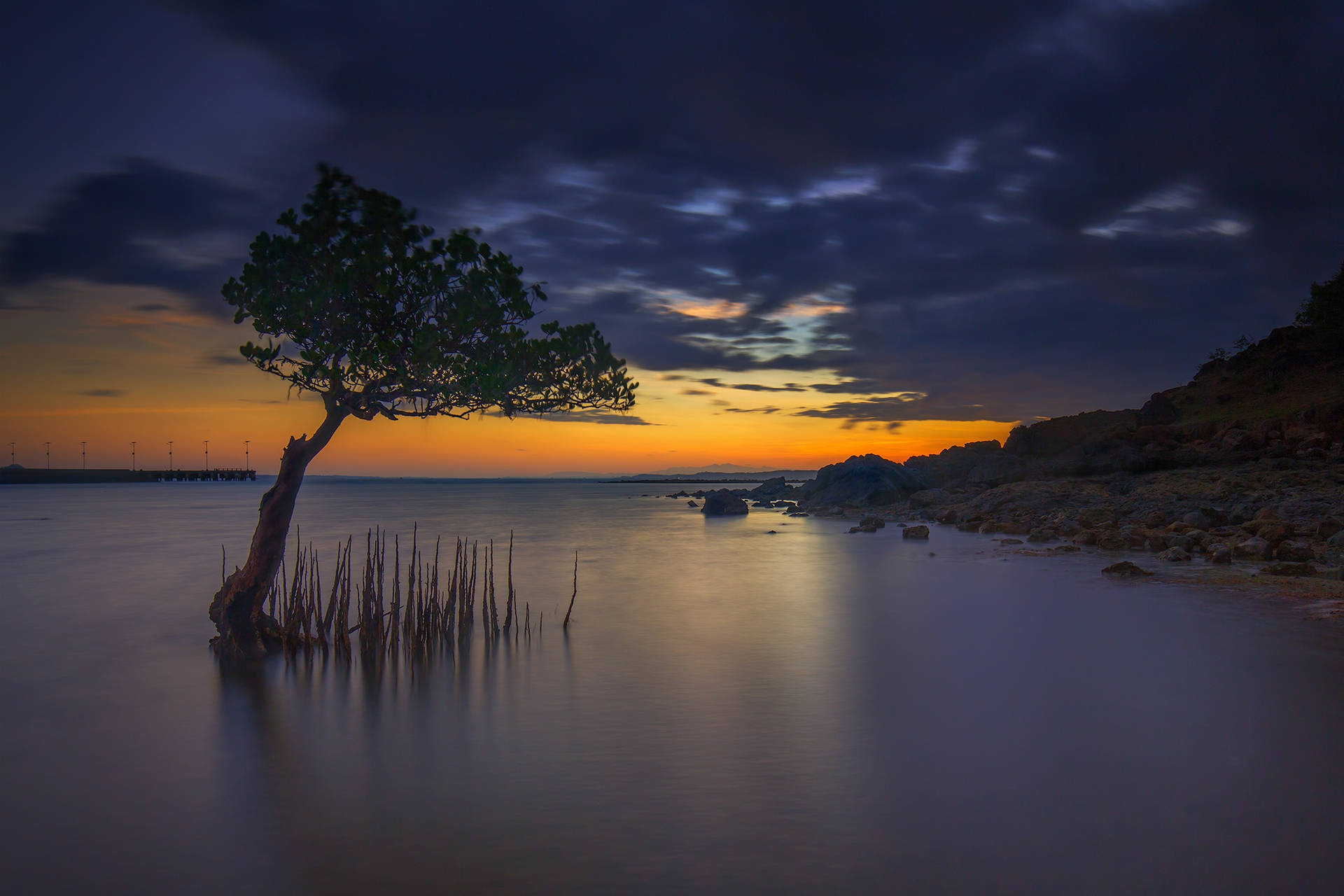Mangrove Sunset Indonesia Background