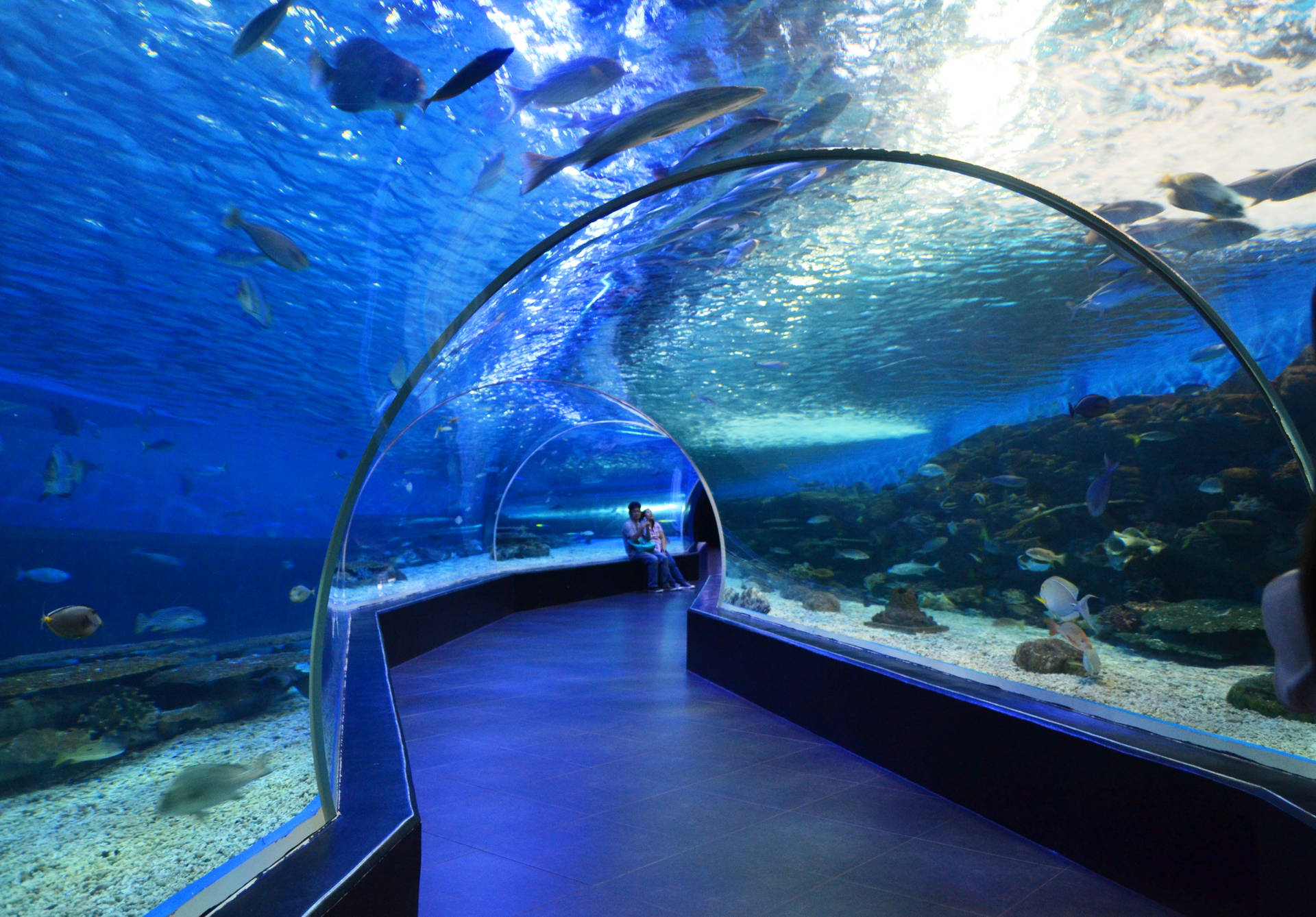 Manila Ocean Park Aquarium